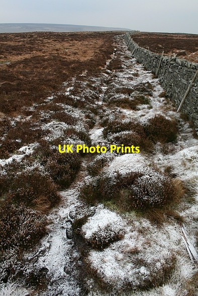 Photo 6"x4" On Top of Harland Hill (2) Walden c2007