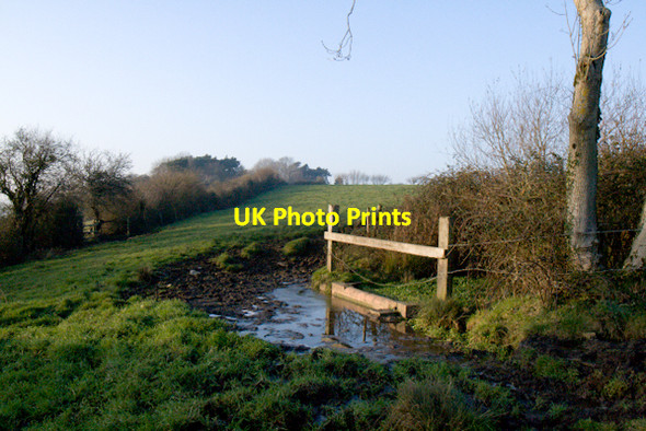 Photo 6"x4" Horse pond, Charlton Horethorne Charlton Horethorne c2007