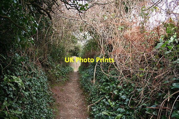 Photo 6"x4" Holbeton: path from Meadowsfoot Beach Mothecombe c2007