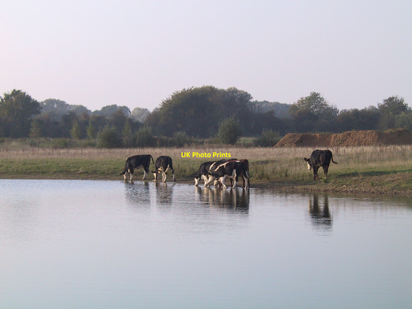 Photo 6"x4" Deeping Lakes Peakirk c2005