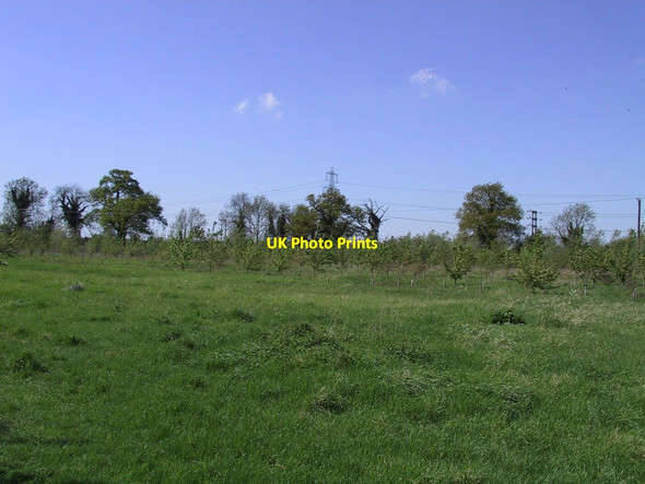 Photo 6"x4" Priory Wood Burwell\/TL5866 c2003