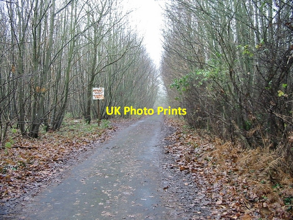 Photo 6"x4" Private road to Hode Farm Bekesbourne Hill c2007