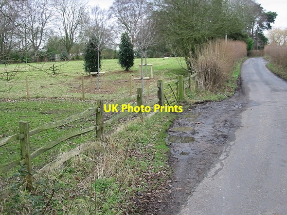 Photo 6"x4" Looking N along Moorstock Lane Moorstock c2007