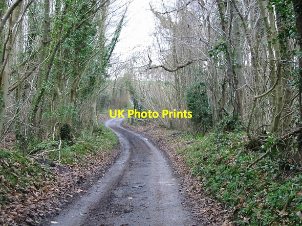 Photo 6"x4" Pond Lane in Well Wood Womenswold c2007