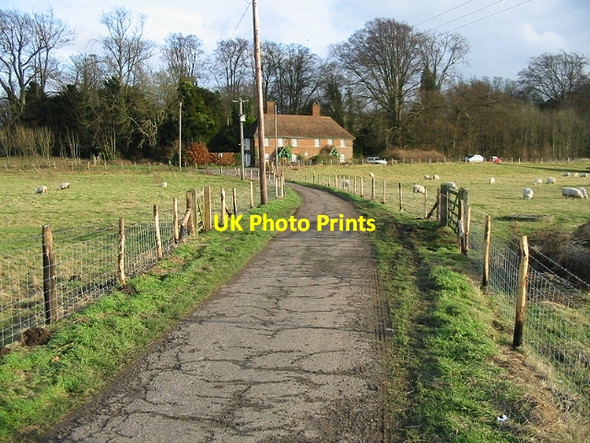Photo 6"x4" Looking E along footpath and track Bishopsbourne c2007
