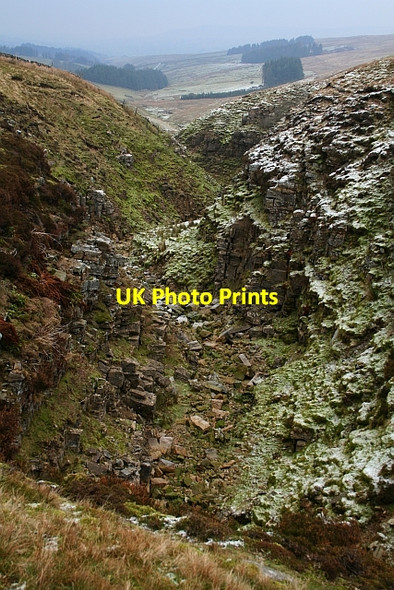 Photo 6"x4" Back Dike Braidley c2007