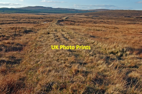 Photo 6"x4" Grassy track above Glen Bernisdale Glen Bernisdale c2008