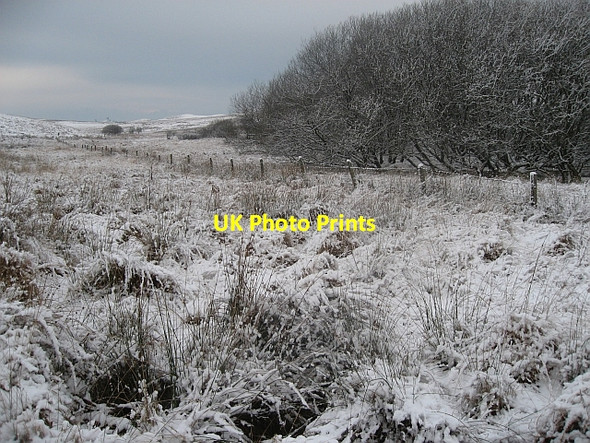Photo 6"x4" Marshy valley Crossmichael c2008