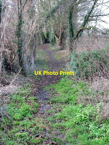 Photo 6"x4" View along the Footpath to Kelk Hill Chillenden c2008