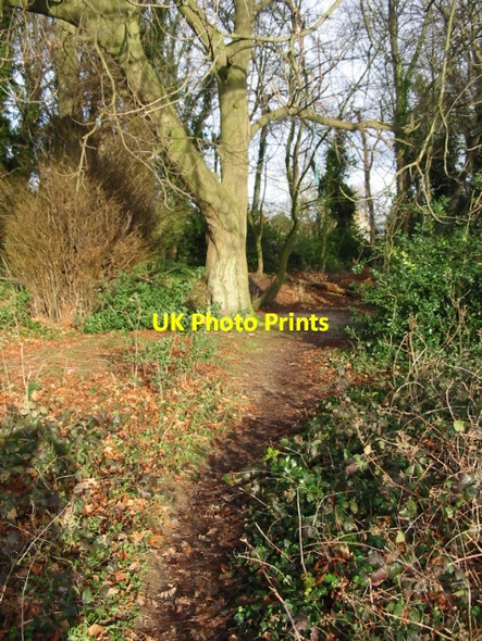 Photo 6"x4" Footpath from Waldershare to Eythorne Eythorne c2008