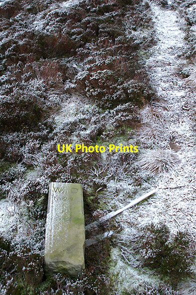 Photo 6"x4" Boundary stone 29 Bleasdale c2007