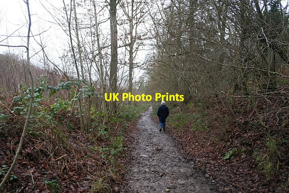 Photo 6"x4" Path down to the Gullet Quarry Chandler's Cross\/SO7738 c2008