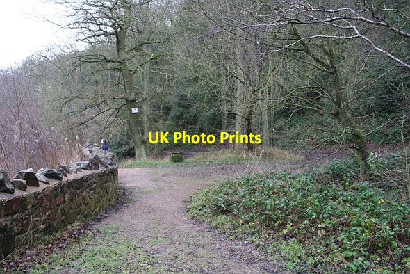 Photo 6"x4" The Old Lower Car Park, Gullet Quarry Chandler's Cross\/SO7738 c2008
