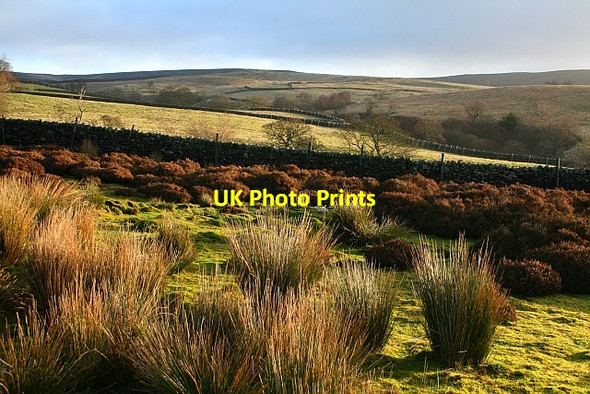 Photo 6"x4" Moorland Around Hudson Gill Howgill\/SE0659 c2008