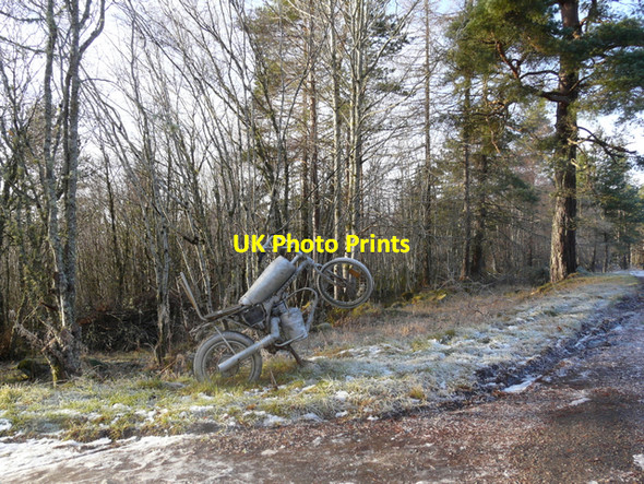 Photo 6"x4" Sculpture at Rosehall Rosehall\/NC4602 c2008