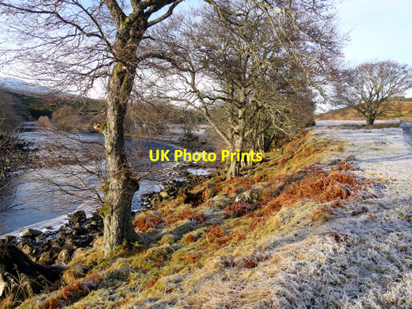 Photo 6"x4" River Cassley Rosehall\/NC4602 c2008