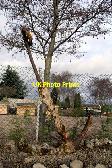 Photo 6"x4" The Anchors of Sawley Marina (3) Sawley\/SK4731 c2008