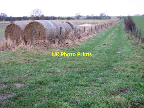 Photo 6"x4" Wood lane (track) Rawcliffe\/SE6822 c2008