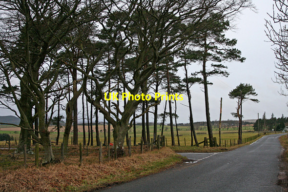 Photo 6"x4" Road junction Clennell c2008