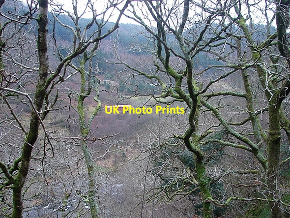 Photo 6"x4" A walk in the Rheidol Valley on a dull, wet January afternoon Ystumtuen c2008