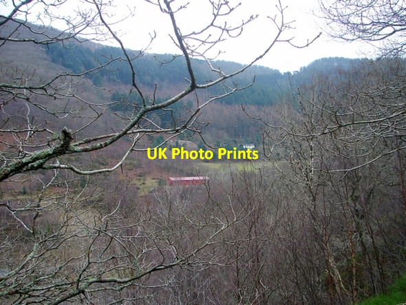 Photo 6"x4" A walk in the Rheidol Valley on a dull, wet January afternoon Ystumtuen c2008 P1