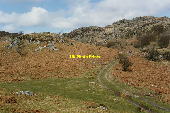 Photo 6"x4" Track heading for Bwlch Goriwared Llanfachreth c1993