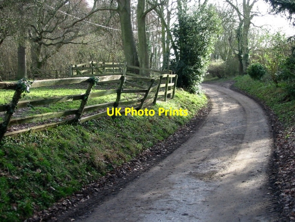 Photo 6"x4" Private road to Knowlton Court Knowlton\/TR2853 c2008