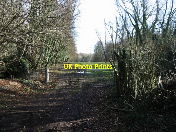 Photo 6"x4" View through Garden Wood to Dane Court Tilmanstone c2008