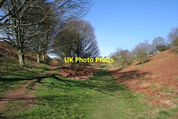 Photo 6"x4" The Top of Green Valley Great Malvern c2008