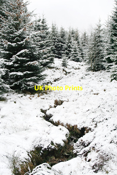 Photo 6"x4" Stream in the snow Binky Burn c2008