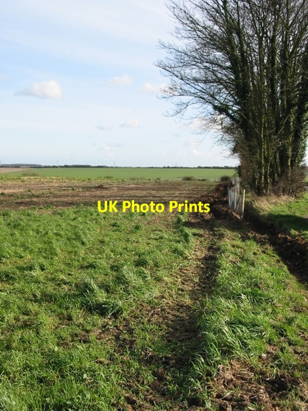 Photo 6"x4" Field boundary adjacent to the road to Elvington Barfrestone c2008