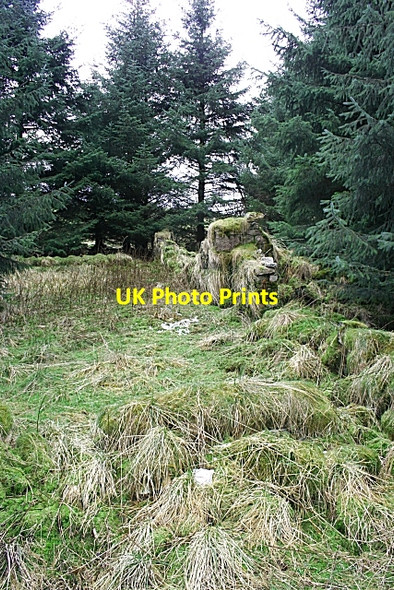 Photo 6"x4" Glenshee Croft Ardonald c2008 P1