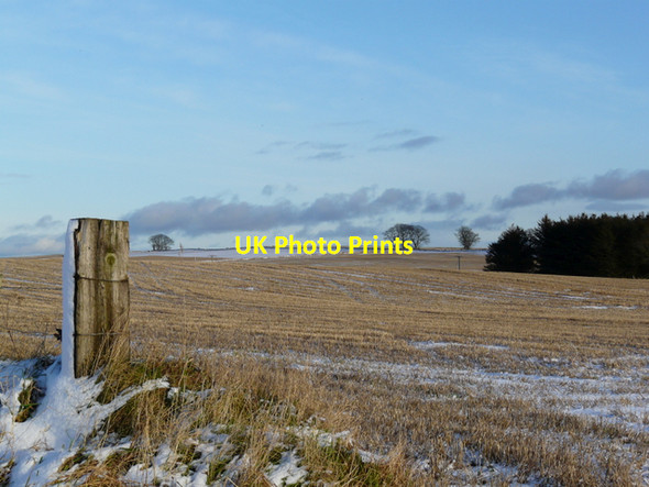 Photo 6"x4" Winter field, Cadboll Hilton of Cadboll c2008