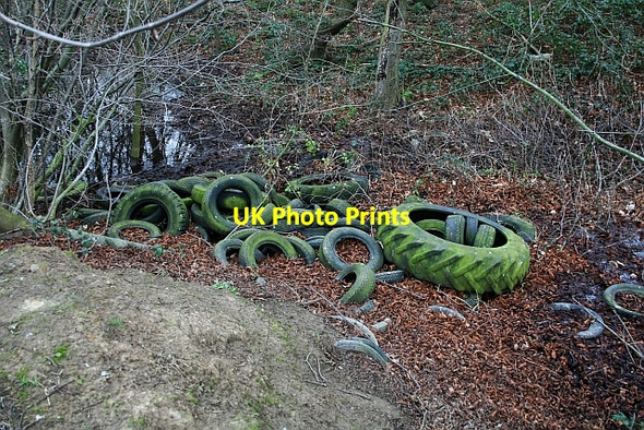 Photo 6"x4" Dumped Tyres in Stubbs Wood Cold Hiendley c2008