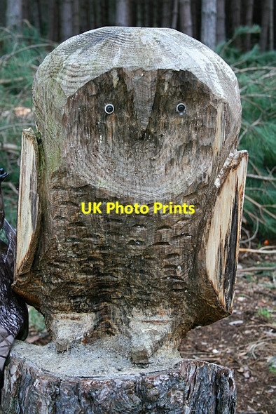 Photo 6"x4" Carved Owl in Haw Park Wood (2) Cold Hiendley c2008