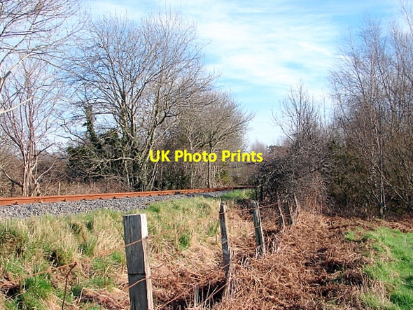 Photo 6"x4" Vale of Rheidol Railway track Aberystwyth c2008