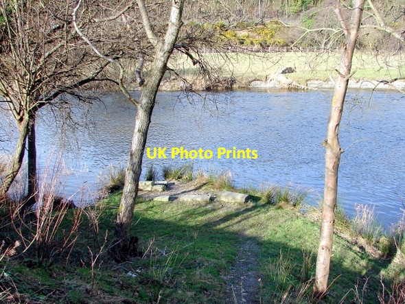 Photo 6"x4" The Rheidol at Glanyrafon Glanrafon\/SN6180 c2008