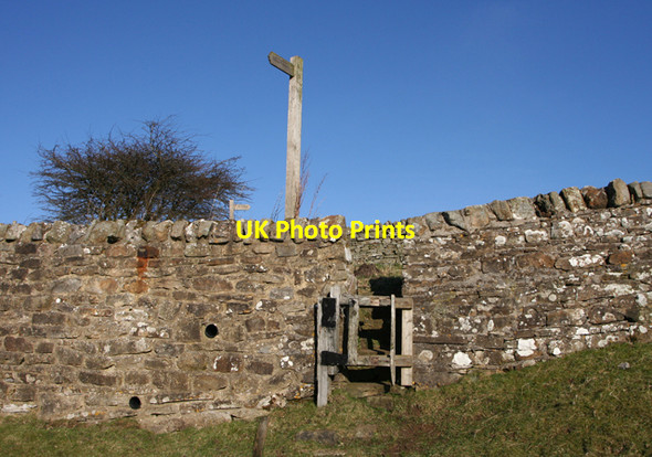 Photo 6"x4" Small gate East Blackdene c2008