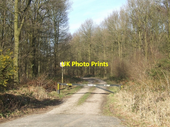 Photo 6"x4" No public access to Horsemoor Wood Hatherton\/SJ9510 c2008