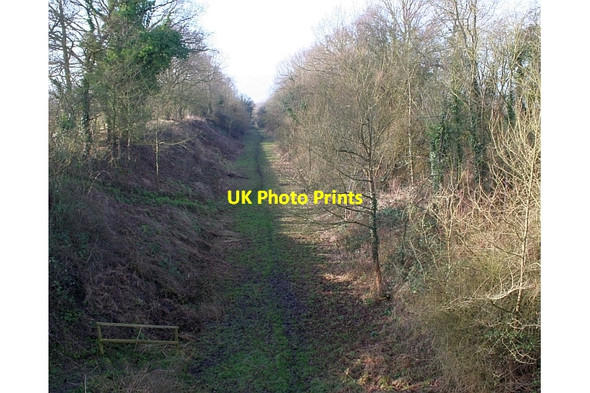 Photo 6"x4" Brotheridge Green Railway Line Nature Reserve Gilver's Lane c2008