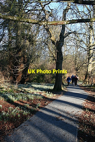 Photo 6"x4" Duff House Woods Banff\/NJ6864 c2008