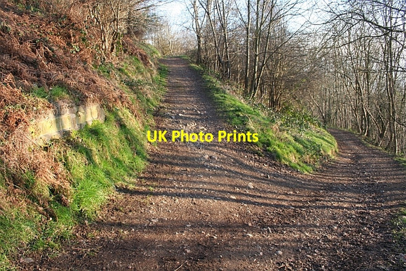Photo 6"x4" Junction of Paths below Black Hill Brand Green\/SO7641 c2008