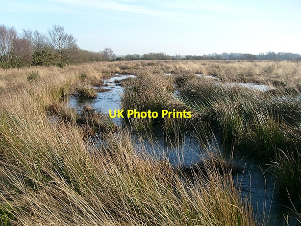 Photo 6"x4" Eastern edge of Drumburgh Moss Drumburgh c2008