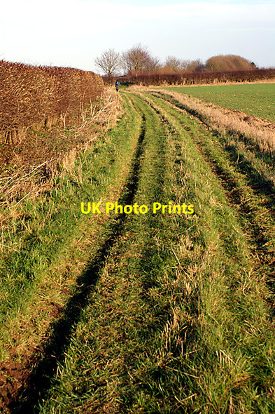Photo 6"x4" Walking the Wolds Kelstern c2008