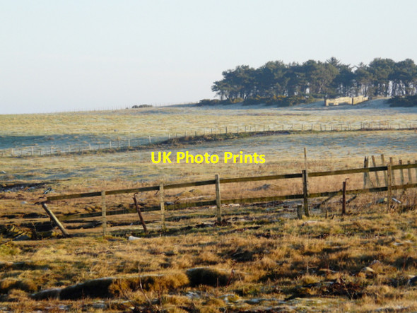 Photo 6"x4" Farmland on Tarbat Peninsula Hilton\/NH9285 c2008