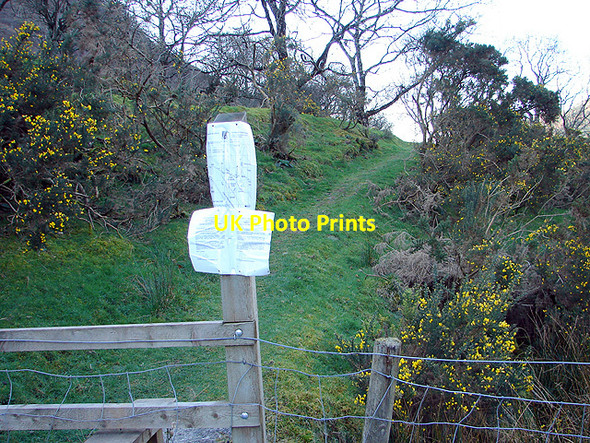 Photo 6"x4" New right of way at Rheidol Falls Aberffrwd\/SN6878 c2008