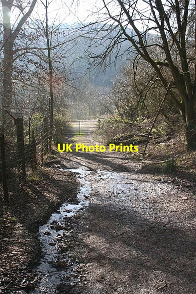 Photo 6"x4" Gate on Track Down From Midsummer Hill Hollybush\/SO7636 c2008