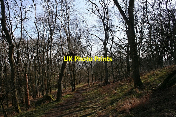 Photo 6"x4" Path on Midsummer Hill Hollybush\/SO7636 c2008