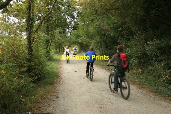 Photo 6"x4" Camel Trail towards Wadebridge Wadebridge c2007