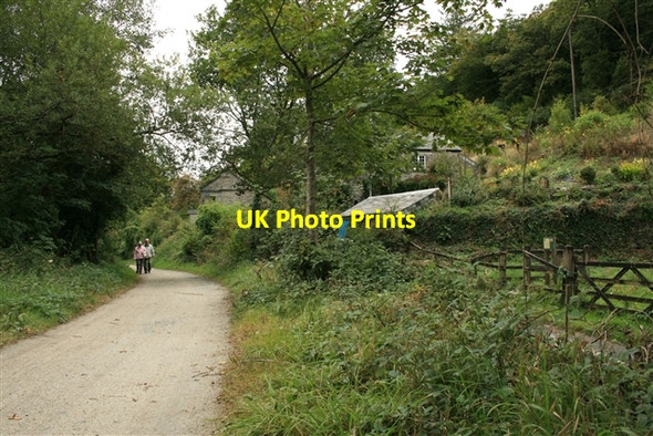 Photo 6"x4" Camel Trail at Polbrock Burlorne Tregoose c2007